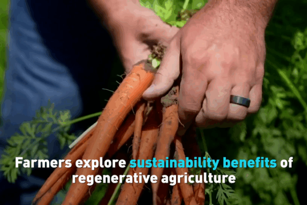 California Farmers Embrace Regenerative Agriculture for Soil & Security 🌱 California Farmers Embrace Regenerative Agriculture for Soil & Security 🌱 video poster