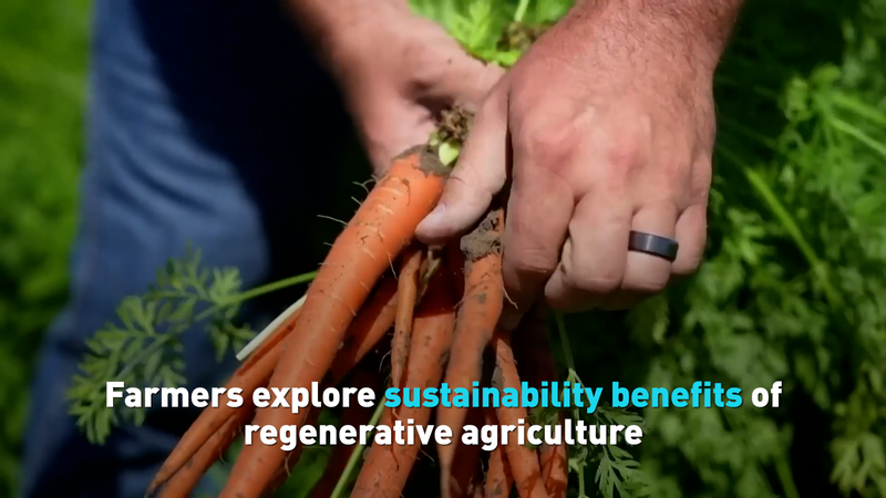 California Farmers Embrace Regenerative Agriculture for Soil & Security 🌱 video poster