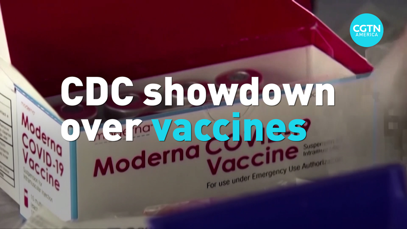 New_CDC_Panel__Led_by_Kennedy__Tackles_Polarized_Vaccine_Guidance_poster - News for amigos, by amigos New_CDC_Panel__Led_by_Kennedy__Tackles_Polarized_Vaccine_Guidance video poster
