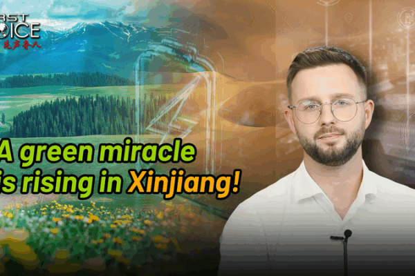 Xinjiang’s Green Miracle: Desert Turns into Solar Powerhouse video poster