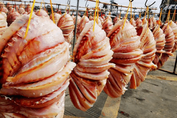 Sun-Kissed Dried Snapper: Hainan’s Timeless Seafood Tradition Sun-Kissed Dried Snapper: Hainan’s Timeless Seafood Tradition