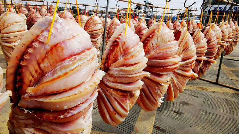 OINIX74UM2S96LIQAYNL - News for amigos, by amigos Sun-Kissed Dried Snapper: Hainan’s Timeless Seafood Tradition
