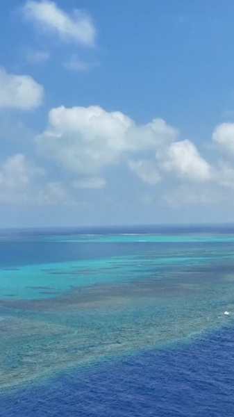 PDD2M0LLHUV1UPHXBV48 - News for amigos, by amigos Huangyan Dao Named China’s New National Marine Nature Reserve video poster