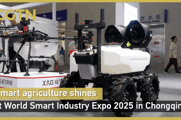 Smart agriculture shines at World Smart Industry Expo 2025 in Chongqing Smart_agriculture_shines_at_World_Smart_Industry_Expo_2025_in_Chongqing video poster