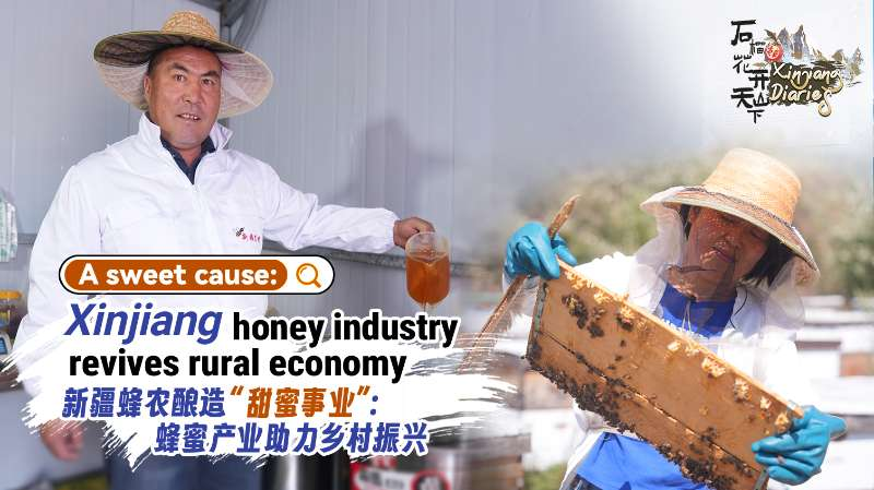Sweet Revival: Xinjiang Honey Industry Boosts Rural Economy Sweet_Revival__Xinjiang_Honey_Industry_Boosts_Rural_Economy video poster