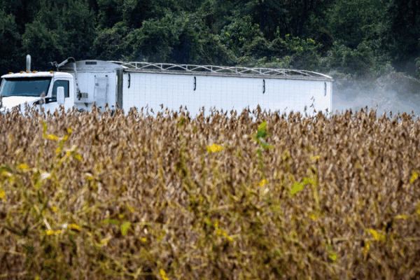 Tariff Trouble: U.S. Soybean & Beef Exports Reel as Chinese Mainland Demand Dries Up Tariff_Trouble__U_S__Soybean___Beef_Exports_Reel_as_Chinese_Mainland_Demand_Dries_Up