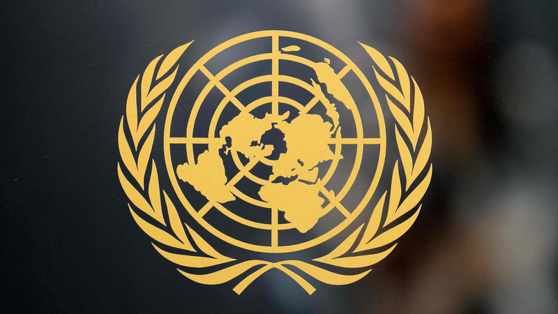 UN at 80: China’s Key Role in Global Cooperation UN_at_80__China_s_Key_Role_in_Global_Cooperation