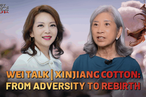 Xinjiang Cotton Bounces Back: From Tariffs to Triumph 🌱✨ Xinjiang Cotton Bounces Back: From Tariffs to Triumph 🌱✨ video poster