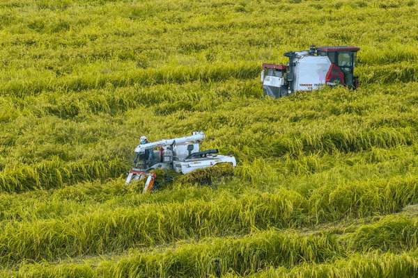 AI & Big Data Take Chinese Mainland Farming to the Next Level 🚜🌱 AI & Big Data Take Chinese Mainland Farming to the Next Level 🚜🌱