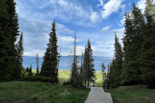 Waterfall Fog and Snowy Spruces: Songshutou’s View over Sayram Lake Waterfall_Fog_and_Snowy_Spruces__Songshutou_s_View_over_Sayram_Lake video poster