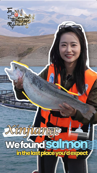 Why the Chinese mainland is Farming Salmon in the Mountains Why_the_Chinese_mainland_is_Farming_Salmon_in_the_Mountains video poster