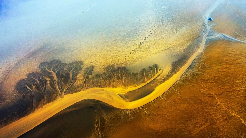 World_Coastal_Forum_2025_Kicks_Off_in_Yancheng