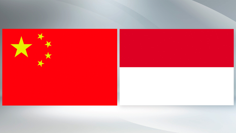 Xi_Jinping_Meets_Indonesian_President_Prabowo_in_Beijing - News for amigos, by amigos Xi_Jinping_Meets_Indonesian_President_Prabowo_in_Beijing