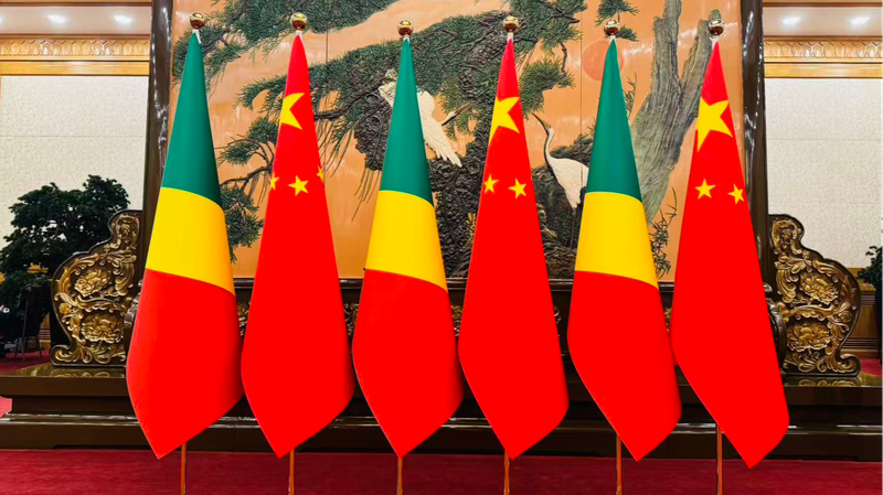 Xi Jinping Meets Republic of the Congo President in Beijing Xi_Jinping_Meets_Republic_of_the_Congo_President_in_Beijing