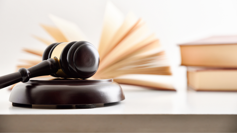 Xi_Signs_Orders_to_Enforce_New_National_Park__Health___Arbitration_Laws