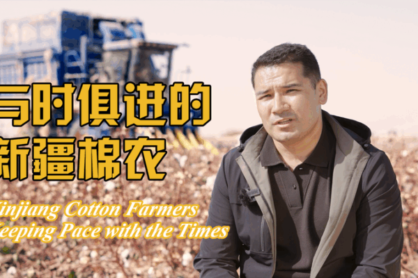 Xinjiang Cotton Farmers Harness Innovation for Growth Xinjiang_Cotton_Farmers_Harness_Innovation_for_Growth video poster