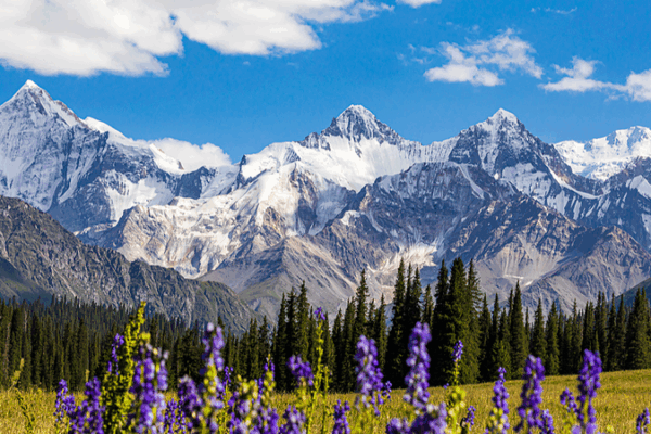 Xinjiang Photography Contest Invites Global Entries Xinjiang_Photography_Contest_Invites_Global_Entries