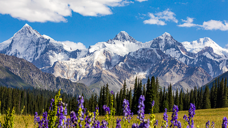 Xinjiang_Photography_Contest_Invites_Global_Entries - News for amigos, by amigos Xinjiang_Photography_Contest_Invites_Global_Entries