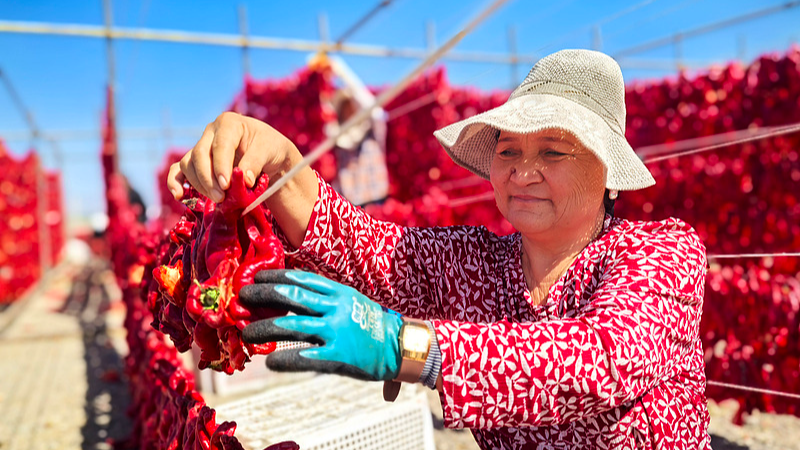 Xinjiang_s_Best_Era_Yet__White_Paper_Unveils_Historic_Growth - News for amigos, by amigos Xinjiang_s_Best_Era_Yet__White_Paper_Unveils_Historic_Growth