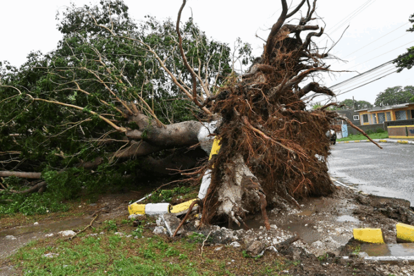 Hurricane Melissa Leaves at Least 7 Dead in the Caribbean 🌪️