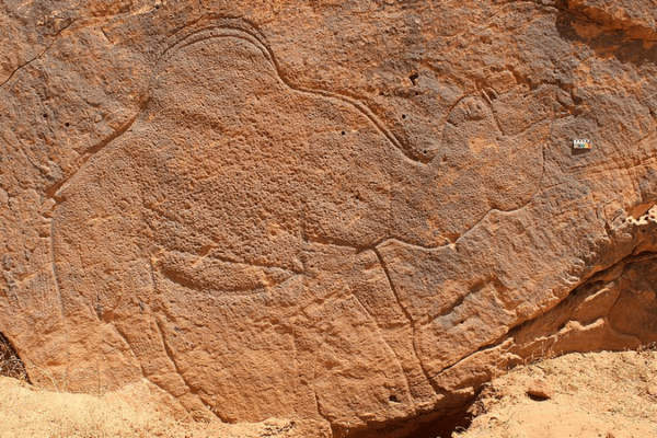 12,000-Year-Old Camel Carvings Mark Hidden Desert Water Sources 12_000_Year_Old_Camel_Carvings_Mark_Hidden_Desert_Water_Sources