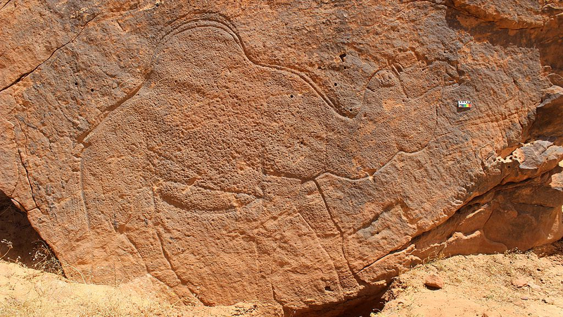 12_000_Year_Old_Camel_Carvings_Mark_Hidden_Desert_Water_Sources - News for amigos, by amigos 12_000_Year_Old_Camel_Carvings_Mark_Hidden_Desert_Water_Sources