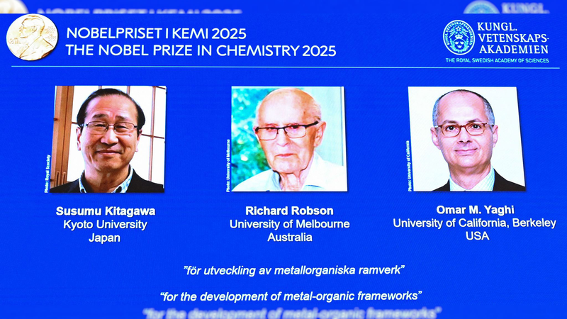 2025 Nobel Prize in Chemistry: The Magic of Molecular Cages 2025_Nobel_Prize_in_Chemistry__The_Magic_of_Molecular_Cages