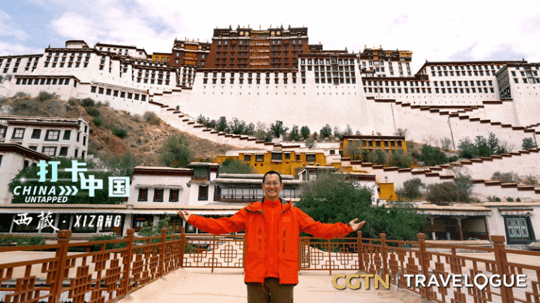 Inside the Potala Palace’s Treasure Hall: Hidden Gems Revealed video poster