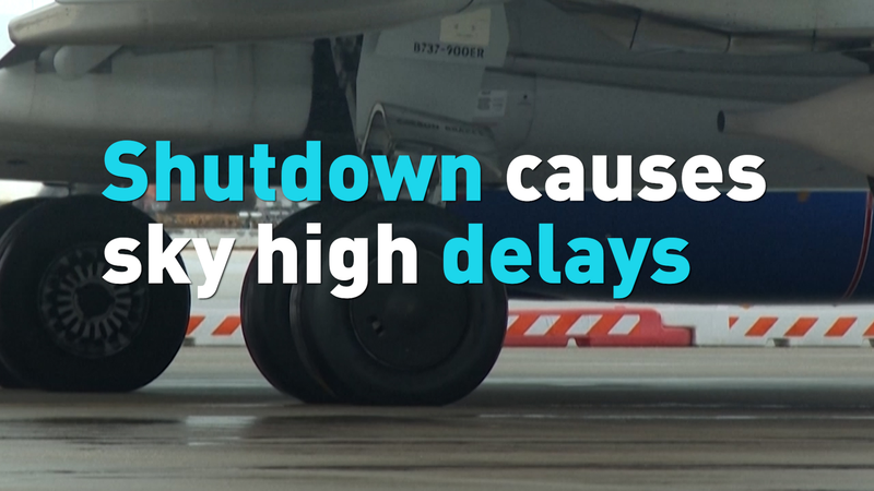 Shutdown Snarls Skies: Thousands of U.S. Flights Delayed ✈️💸 video poster