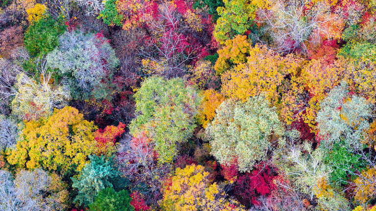 Autumn Magic at Jilin’s Baishan Lake: A Symphony of Fall Colors