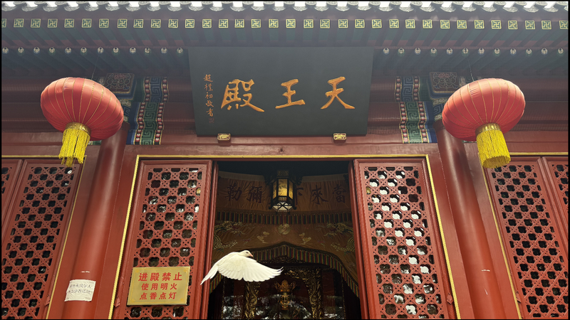 8M5WQ0JRXDZ9KBDKGQQU - News for amigos, by amigos Finding Serenity in Qingdao’s Zhanshan Temple