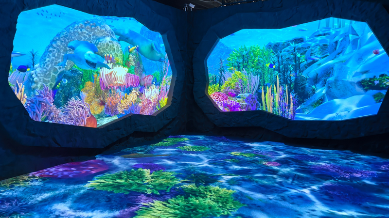 9O5MN2UBK85O7LFFQ9ZD - News for amigos, by amigos Dive into Beijing’s Digital Marine Wonderland video poster