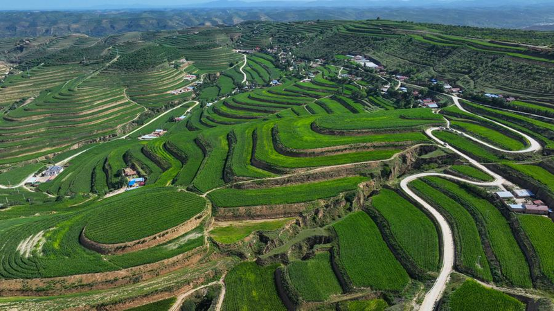 9P9BKTH2JVV86SIHK17X - News for amigos, by amigos China’s 15th Five-Year Plan Aims to Revitalize Rural Areas 🌾