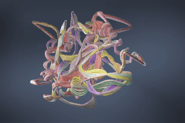 AI Protein Model Cracks Convergent Evolution in Bats and Whales AI_Protein_Model_Cracks_Convergent_Evolution_in_Bats_and_Whales