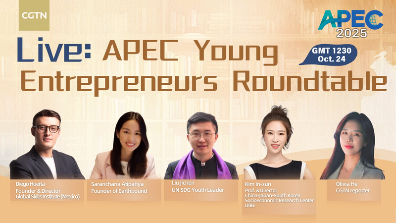 APEC_Youth_Entrepreneurs_Roundtable_Ignites_Global_Innovation_poster - News for amigos, by amigos APEC_Youth_Entrepreneurs_Roundtable_Ignites_Global_Innovation video poster