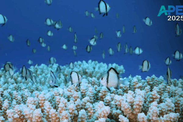 Asia-Pacific Unites for Biodiversity & Ocean Health at APEC 2025 Asia_Pacific_Unites_for_Biodiversity___Ocean_Health_at_APEC_2025