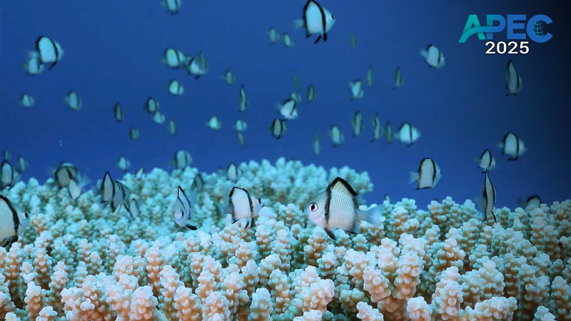 Asia_Pacific_Unites_for_Biodiversity___Ocean_Health_at_APEC_2025 - News for amigos, by amigos Asia_Pacific_Unites_for_Biodiversity___Ocean_Health_at_APEC_2025