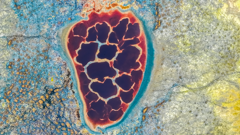 Autumn_Glow_at_Ulan_Lake__Desert_Oasis_Painted_in_Orange_and_Gold - News for amigos, by amigos Autumn_Glow_at_Ulan_Lake__Desert_Oasis_Painted_in_Orange_and_Gold