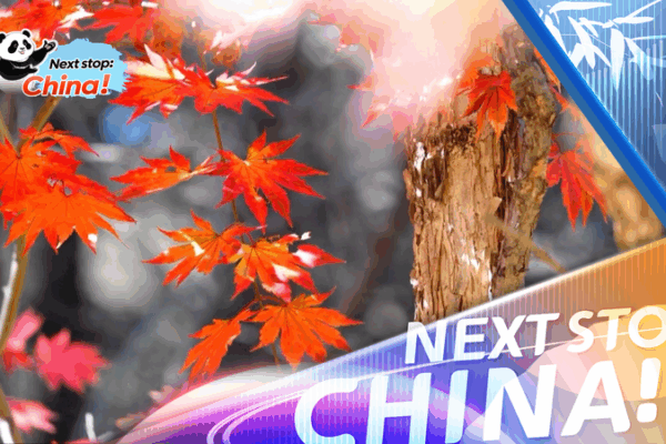 Autumn Magic: How China’s Fall Colors Fuel a Travel Boom Autumn_Magic__How_China_s_Fall_Colors_Fuel_a_Travel_Boom video poster