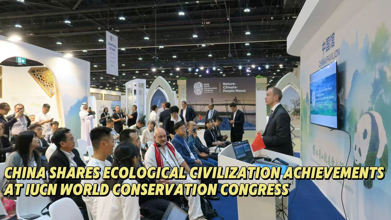 China Showcases Eco Wins at IUCN World Conservation Congress China_Showcases_Eco_Wins_at_IUCN_World_Conservation_Congress video poster