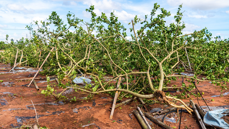China_s_Agile_Systems_Tackle_Intense_Autumn_Weather