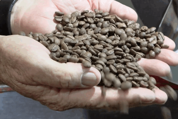 Brazil’s Farmers Turn Trump Tariffs into New Opportunities Brazil’s Farmers Turn Trump Tariffs into New Opportunities video poster