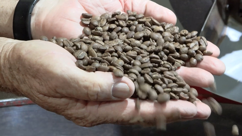 Brazil’s Farmers Turn Trump Tariffs into New Opportunities video poster