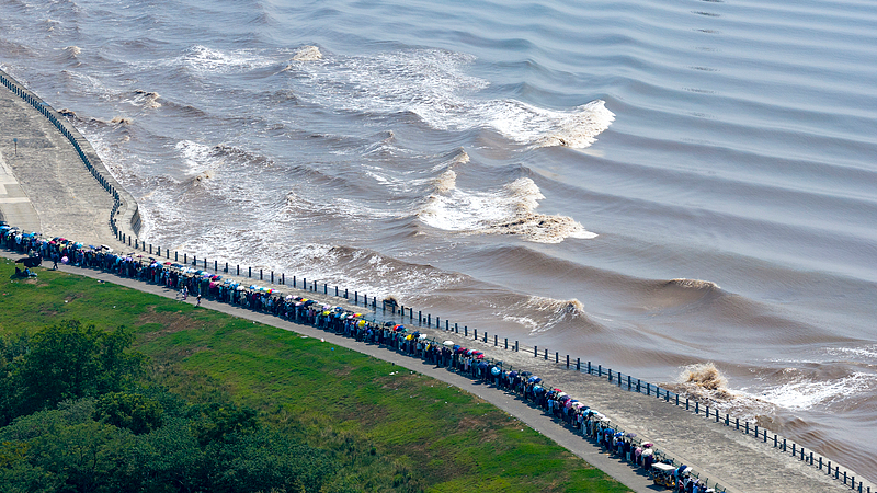Feel the Roar: 2025 Qiantang River Tidal Bore Peaks on Oct 9 Feel_the_Roar__2025_Qiantang_River_Tidal_Bore_Peaks_on_Oct_9 video poster