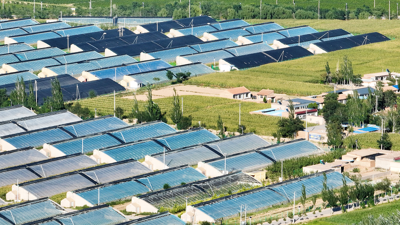 From_Desert_to_Oasis__Minning_Town_s_Green_Rise_in_Ningxia - News for amigos, by amigos From_Desert_to_Oasis__Minning_Town_s_Green_Rise_in_Ningxia