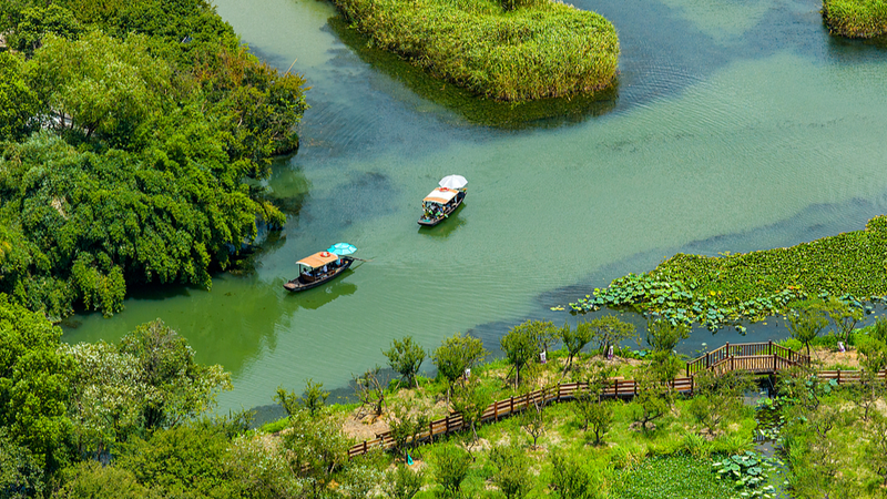 Glide Through the Serene Waterways of Xixi National Wetland Park Glide_Through_the_Serene_Waterways_of_Xixi_National_Wetland_Park video poster