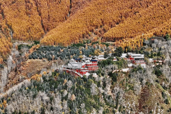 Golden_October_Transforms_Mount_Wutai_into_a_Sea_of_Autumn_Gold video poster