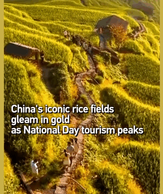 Golden Rice Terraces Shine for National Day Travelers in Jiangxi Golden_Rice_Terraces_Shine_for_National_Day_Travelers_in_Jiangxi video poster