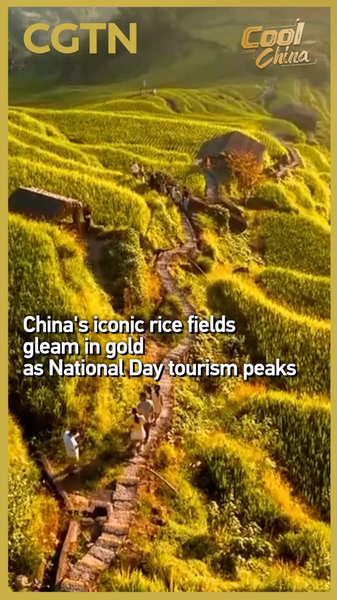 Golden_Rice_Terraces_Shine_for_National_Day_Travelers_in_Jiangxi_poster - News for amigos, by amigos Golden_Rice_Terraces_Shine_for_National_Day_Travelers_in_Jiangxi video poster