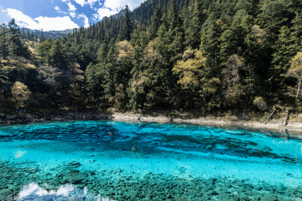 Jiuzhaigou’s Stunning Five-Color Lake 🌈 Jiuzhaigou’s Stunning Five-Color Lake 🌈 video poster